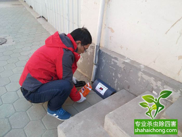 最新滅鼠技術(shù)的觀點(diǎn)論述與立場闡述,創(chuàng)新方法的探索與挑戰(zhàn)
