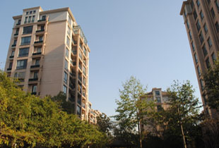 大同文錦西苑最新動態更新