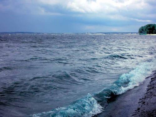 佳木斯新版,時代印記與變遷的見證者