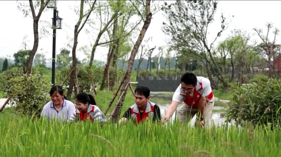 曲陽縣城最新招聘信息揭秘，小巷中的獨特小店等你來探索！