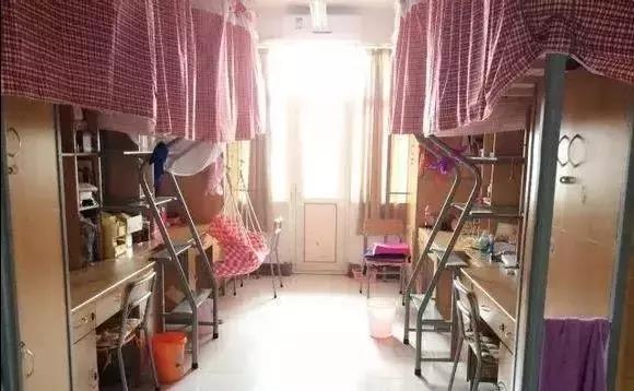 東華大學宿舍新貌，探索現代化學生宿舍的蛻變