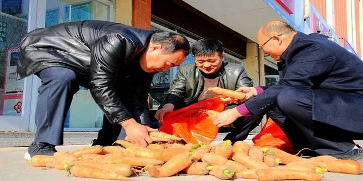 胡蘿卜最新市場價格概覽,最新市場價格指南