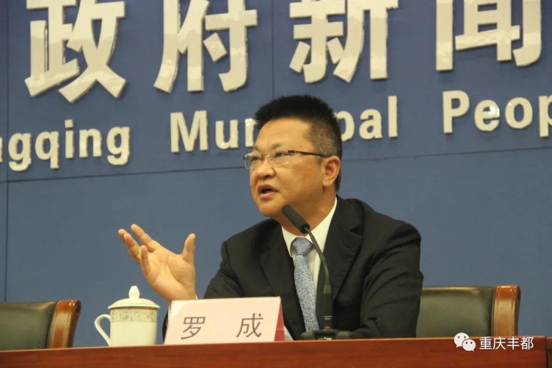 豐都新聞快訊,日常溫情與陪伴的瞬間