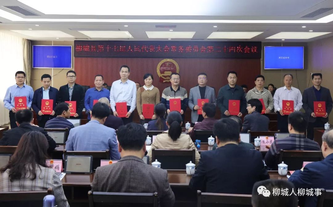 賓川干部任免信息深度解讀與個人觀點分析