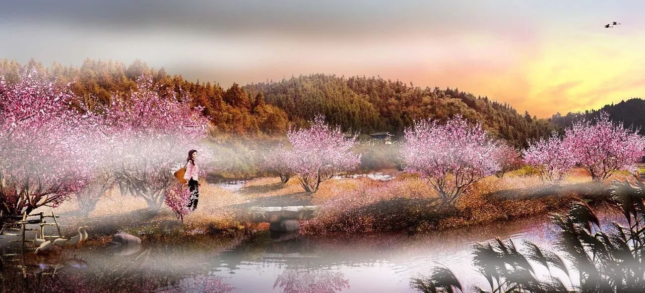 暮色谷桃花源資訊,一段溫馨有趣的日常故事之旅