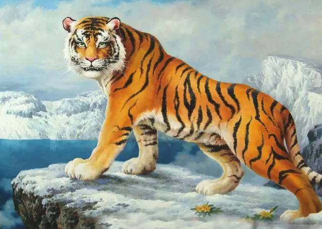 四虎官網的溫馨日常風采展示