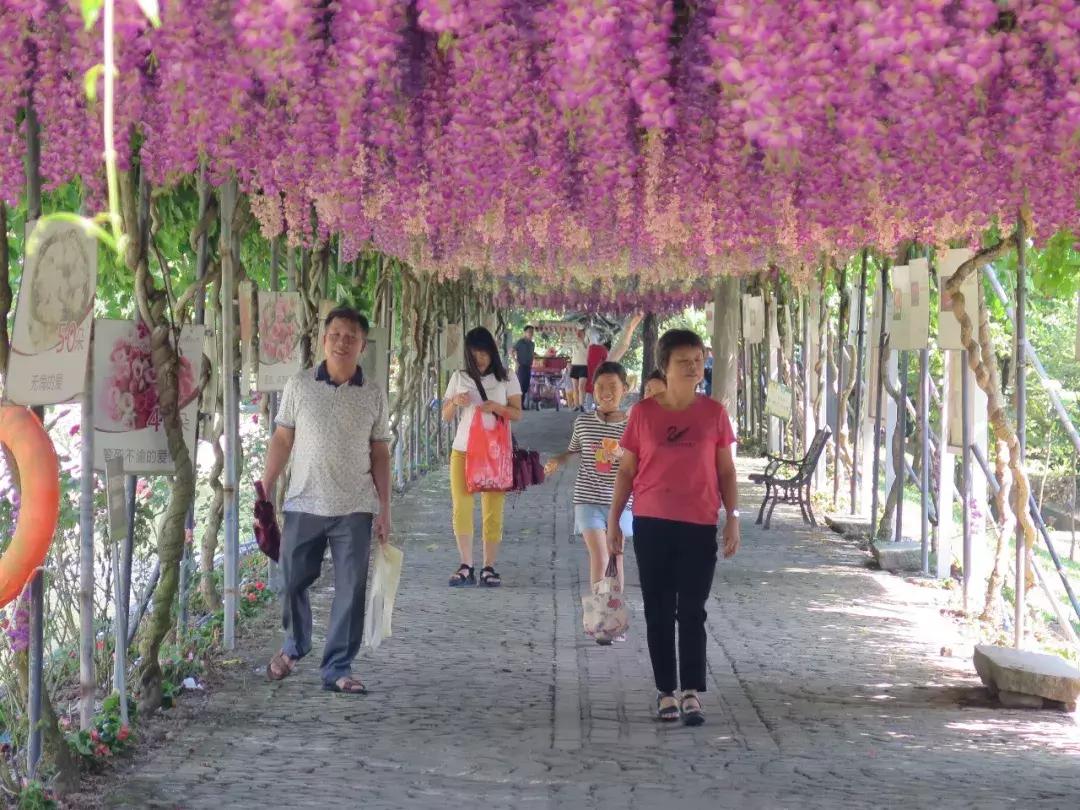 收入寶全新版本，家庭與友情的交織故事