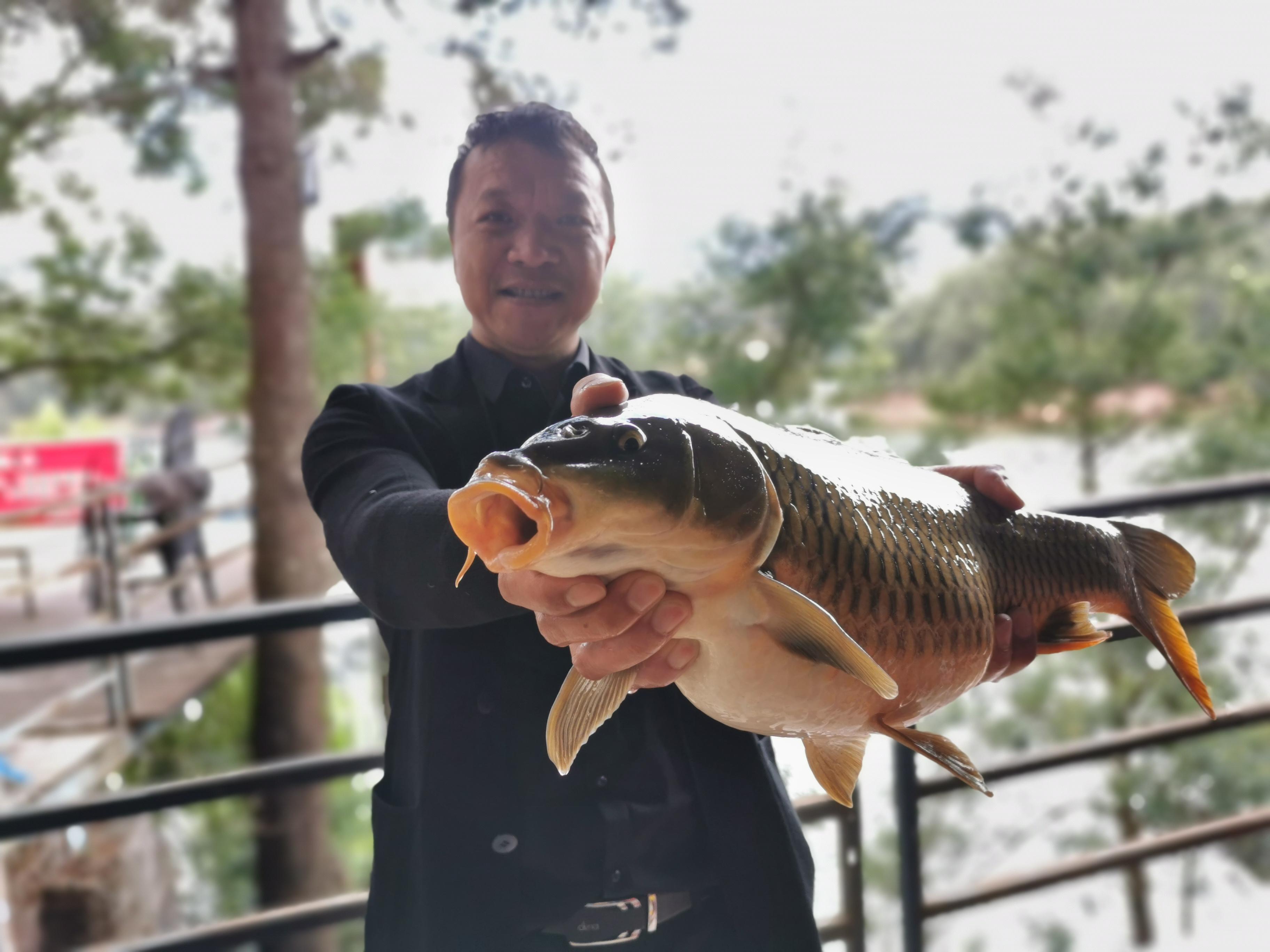 昆明最新野釣地點探索,重拾生活激情與自信的自然之旅
