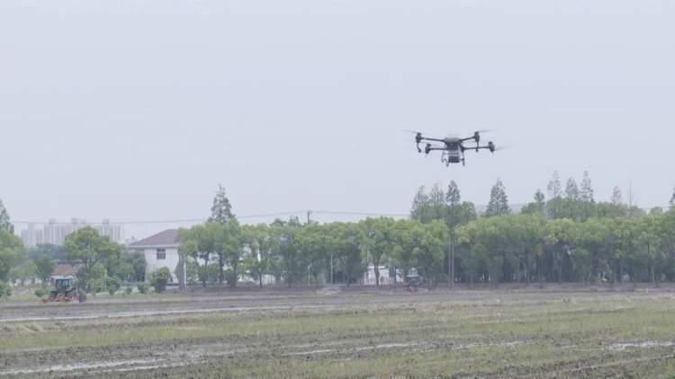 LPL 2025夏季賽科技盛宴,未來啟航——比賽地點(diǎn)揭曉