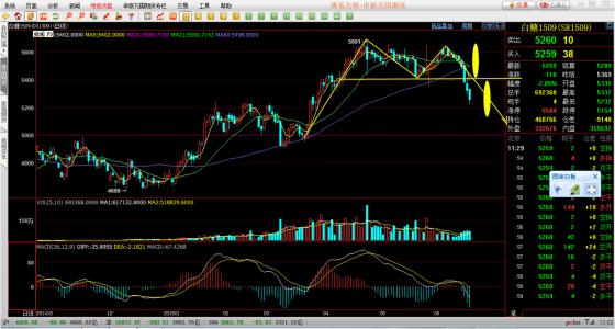 行情分析系統使用指南與操作概述
