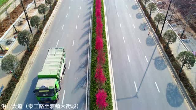 關花大道最新進展,矚目盛景呈現!