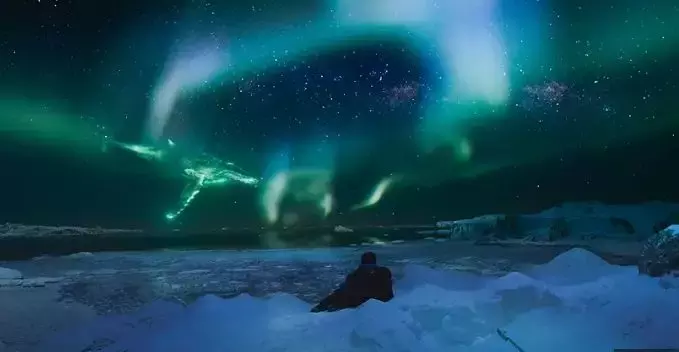 北極光電影,深度探究其影響與價值