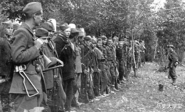 南斯拉夫電影二戰老片，自然美景背后的探索之旅