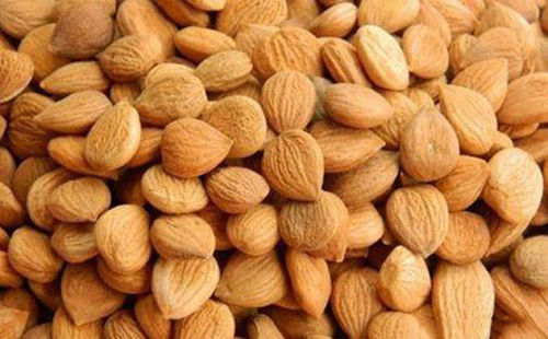 苦杏仁行情深度解析,背景、事件與地位探究