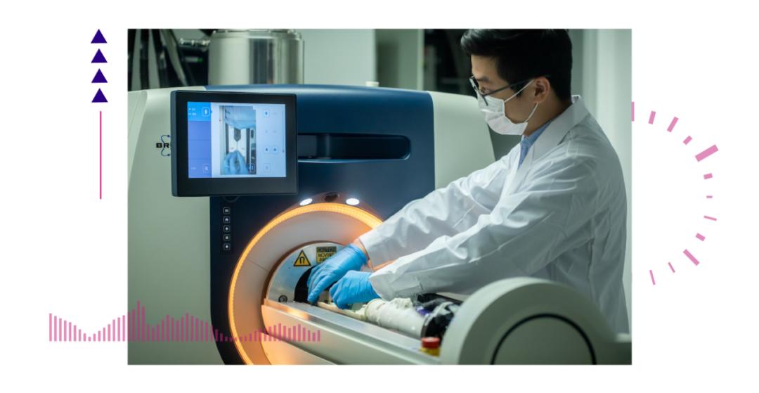 香港脊髓研究取得新進展，探索自然美景的心靈之旅新篇章