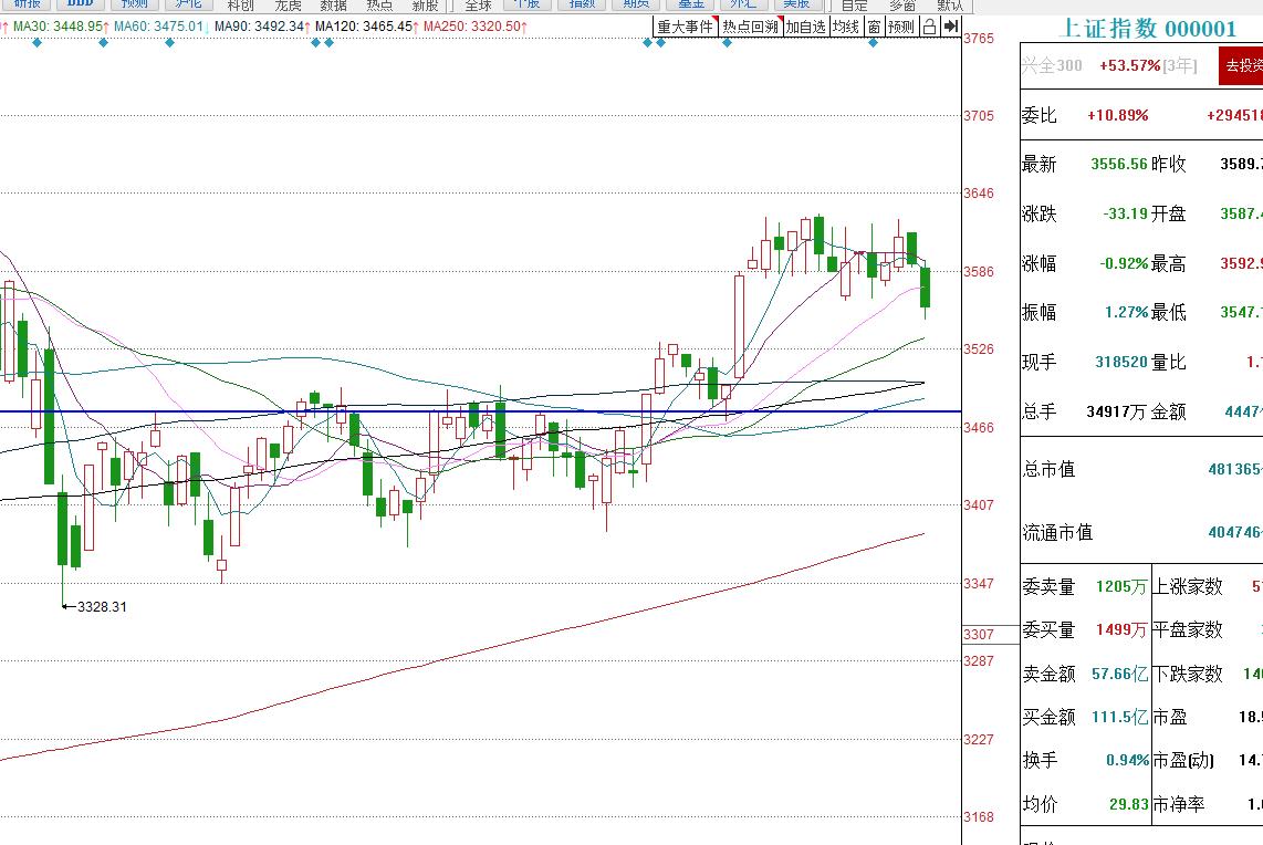 揭秘6月5日股市行情下的投資風景，巷弄深處特色小店的獨特魅力
