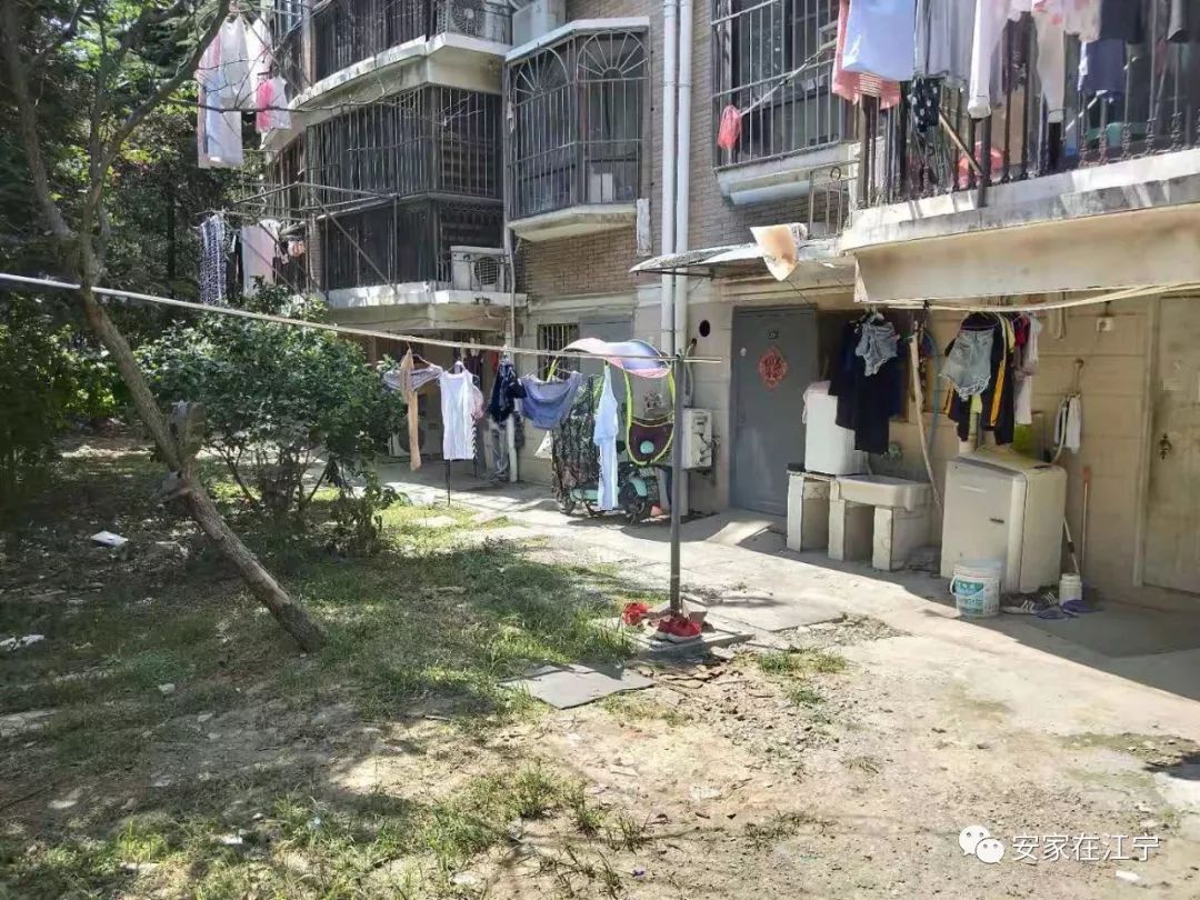 最新大雜亂時代,混沌與秩序的重建之路