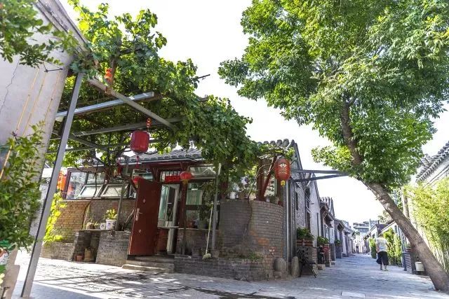 草社區(qū)美食探險之旅，探尋小巷中的隱藏寶藏與最新地址揭秘