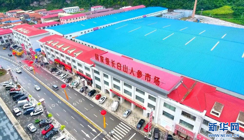 萬良人參市場最新動態(tài)揭秘,日常奇遇與溫情紐帶