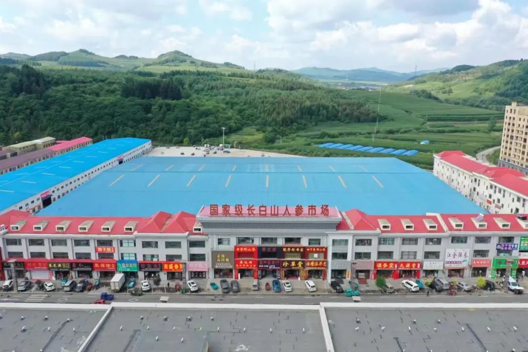 萬良人參市場最新動態(tài)揭秘,日常奇遇與溫情紐帶