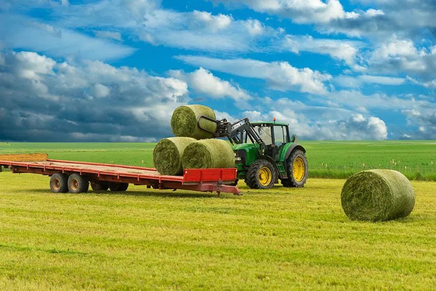 農業最新動態，時代的脈搏與綠色希望共舞