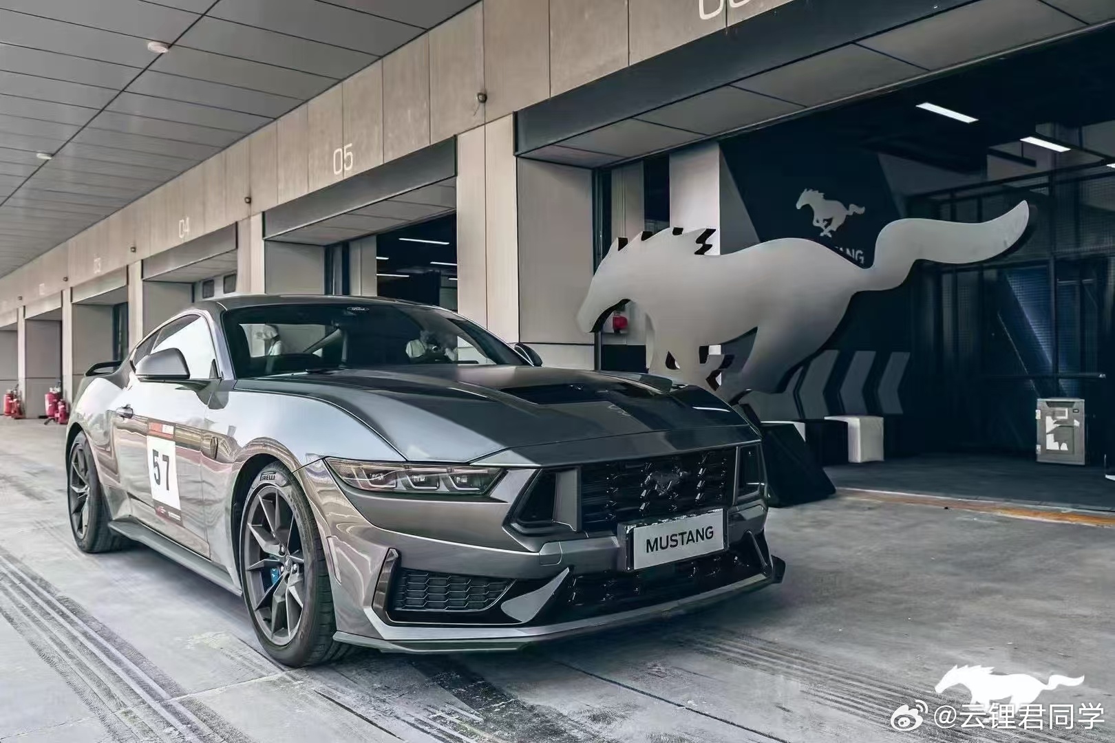 野馬擼最新動態,駕馭變化,自信成就夢想之旅