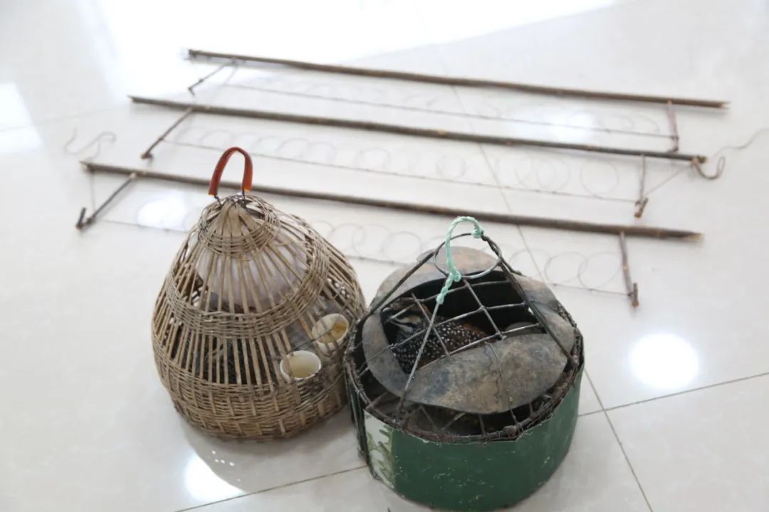 小巷中的神秘寶藏揭秘,最新捕鳥工具揭秘