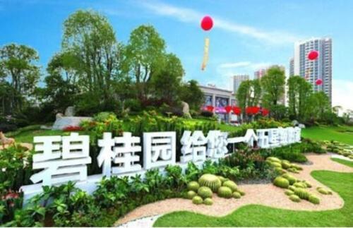 碧桂園最新裁員背后的故事,變化中的成長與挑戰中的自信之路