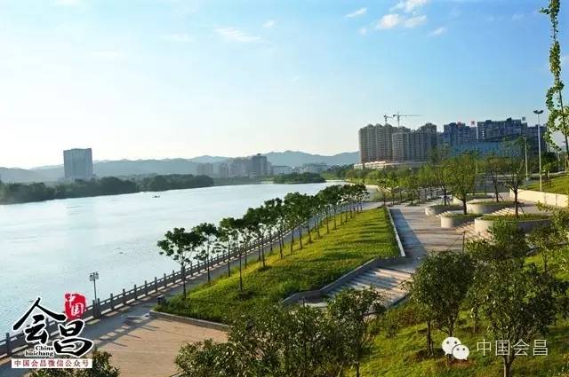 會昌網景的最新動態與消息更新