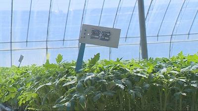 青州人才網最新招聘,友情、機遇與家的溫馨集結地