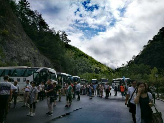 泰順高鐵最新動態更新,最新消息一覽