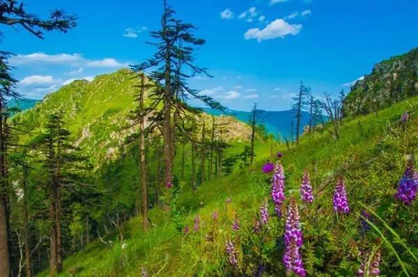 佛坪貼吧最新動態更新速遞