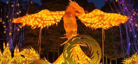 金沙秀最新,背景、重要事件與地位的追溯與探討