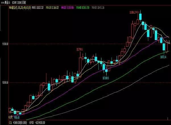 豆油最新行情概覽,市場走勢分析與未來展望