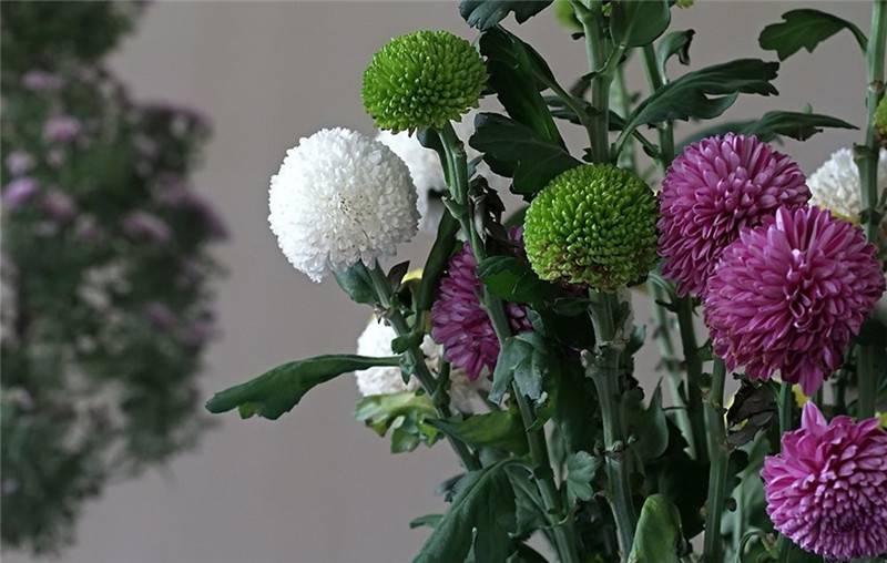 最新娛樂頭條,躍上成功舞臺的魔力之旅,自信與成就感的碰撞