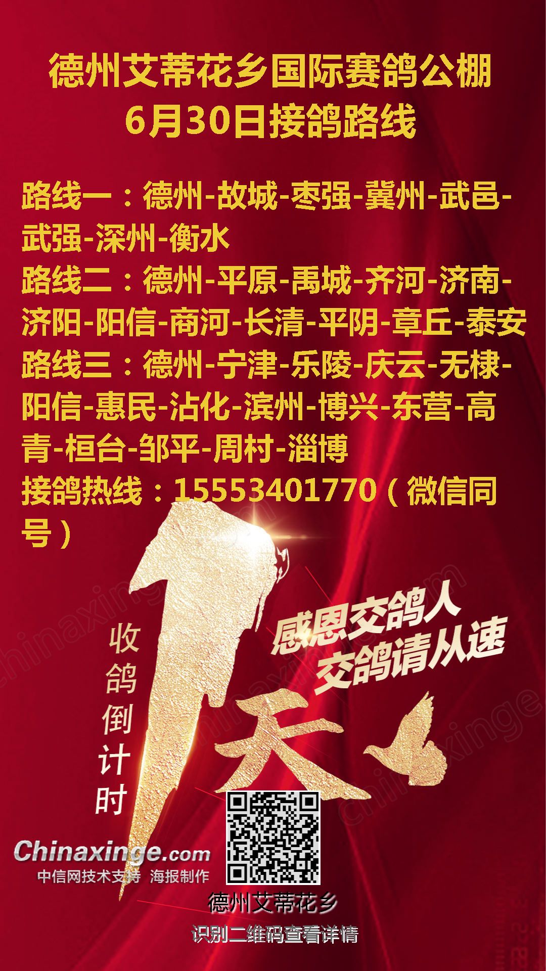 德州公棚最新公告揭秘,隱藏小巷的獨家風味小店,錯過即遺憾!