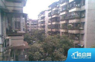 榴社區(qū)2024最新地址揭秘,科技前沿重塑生活體驗新篇章