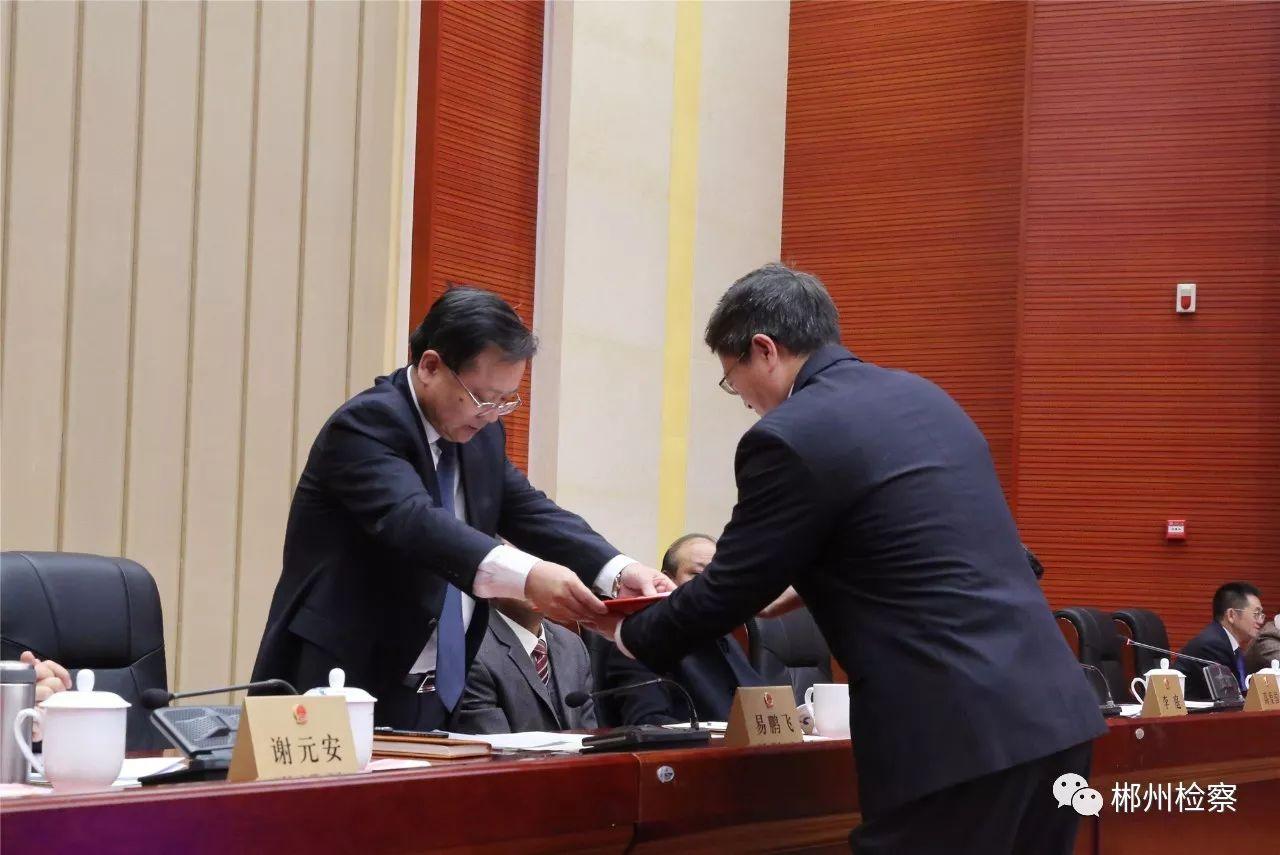 重磅消息,郴州市最新人事任免通知????