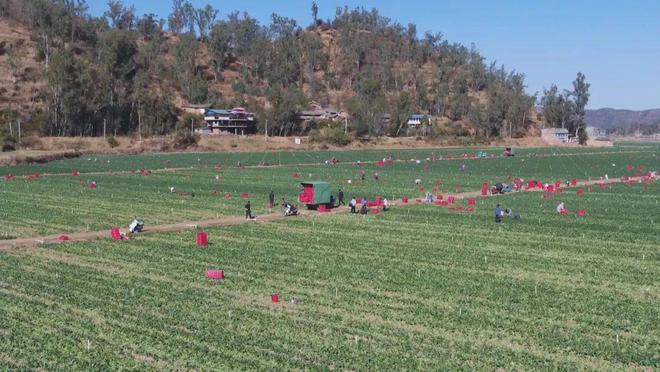 大姚最新科技項目重塑未來生活體驗,引領潮流新篇章