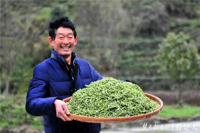 最新夷陵新聞,探索自然美景的旅程,尋覓內心平和之地