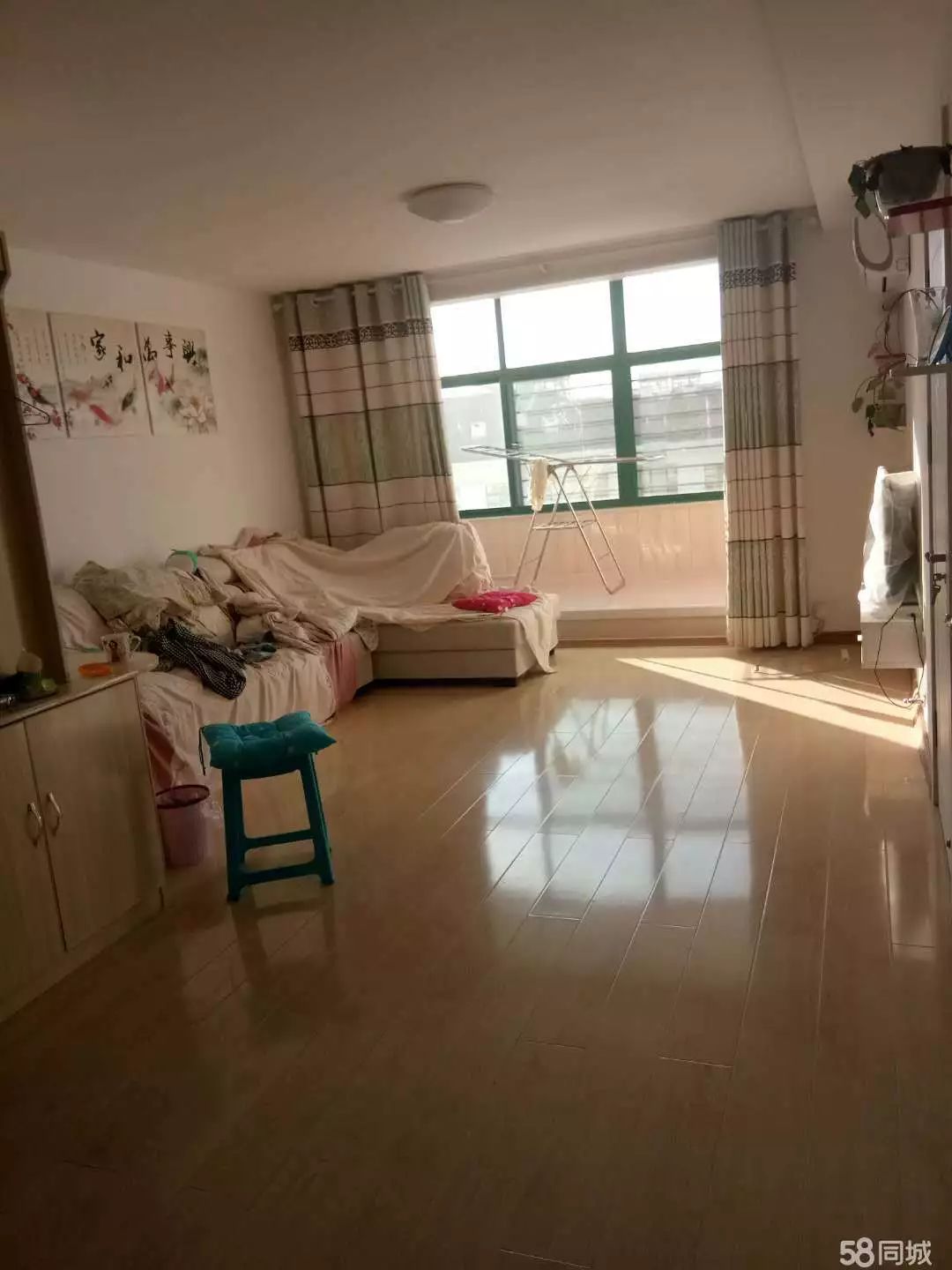 萊西最新個人租房，窗外世界與自我成長的旅程