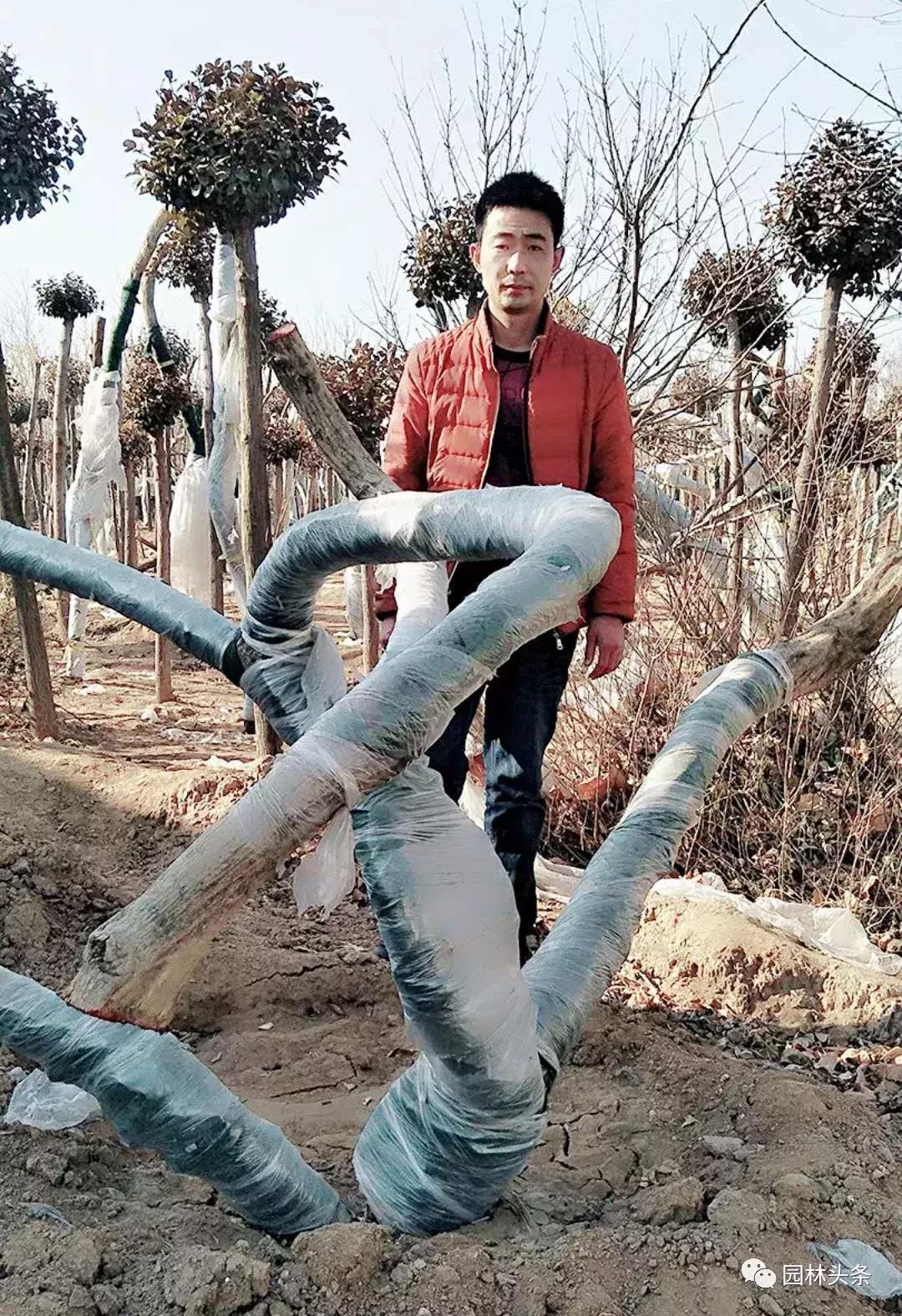 定州最新急招工，時代的呼喚與行業重塑的挑戰