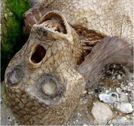 云南水怪最新動態與神秘小巷獨特小店探秘