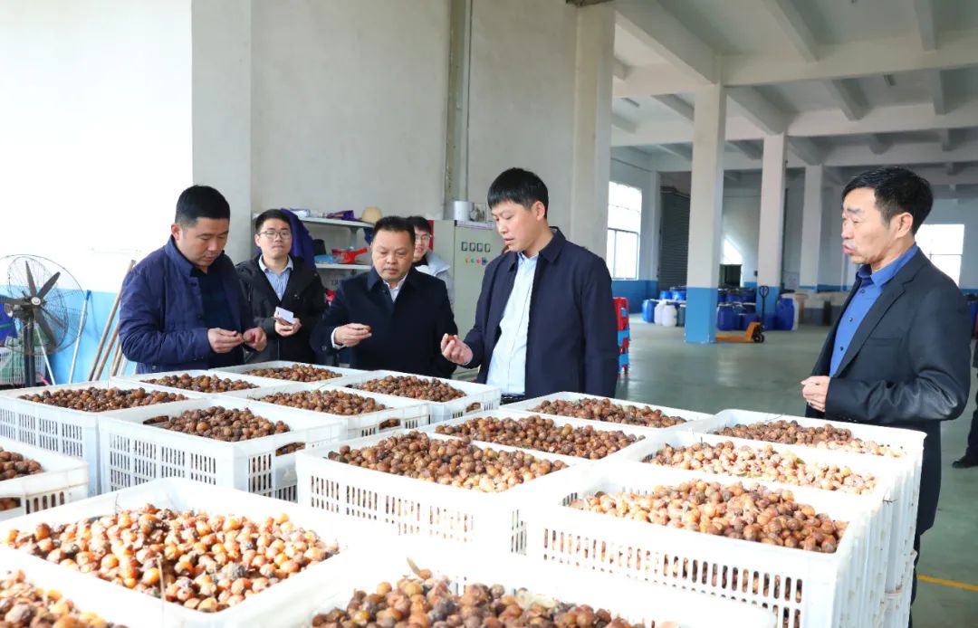 建寧最新新聞，城市溫馨日常與友情力量的展現