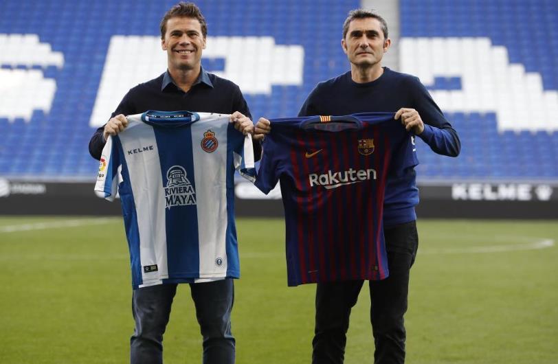 最新體育直播，與大自然共舞，探索寧靜的內心之旅