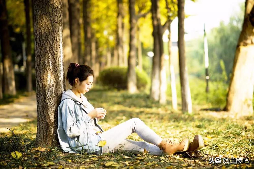 郯城與邳州沖突的深度解析與案例分析,最新進展與案例分析