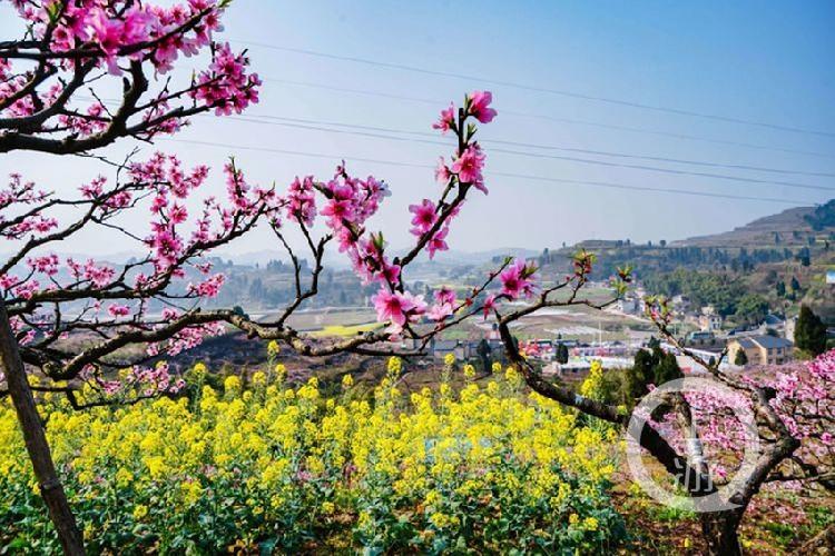 合川最新科技新聞,高科技產品引領未來生活潮流