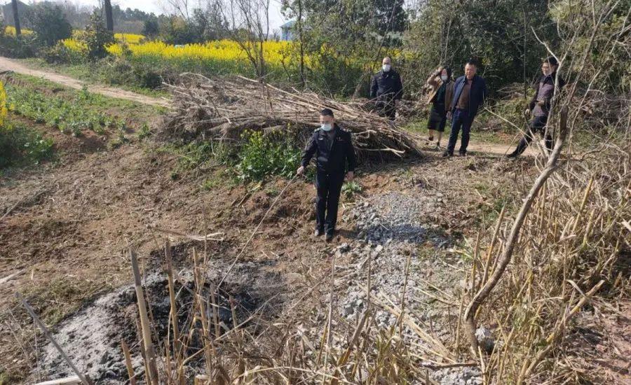 溧陽最新天氣,氣象變遷與地域影響探究