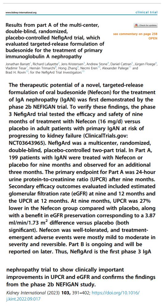 IGA腎病最新突破，醫學奇跡在小店中綻放的獨特魅力