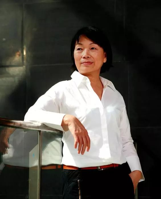 龍應臺最新作品,現代社會的文化反思與人性探索之旅